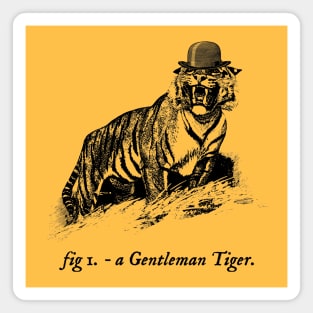 A Gentleman Tiger Magnet